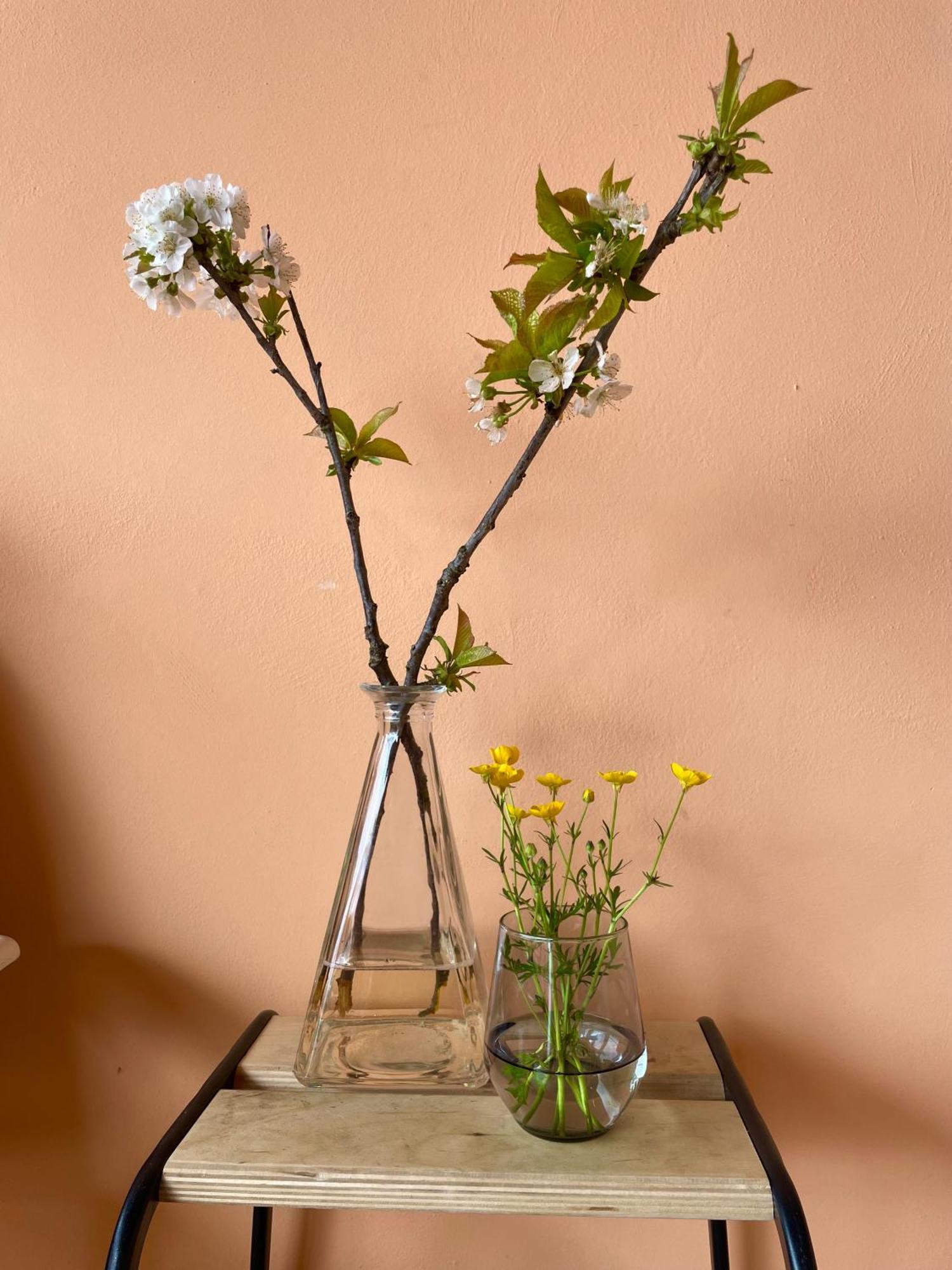 Studio Rosa Miagliano Dış mekan fotoğraf